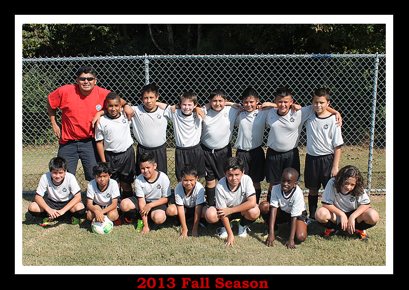 Sharks Soccer Team