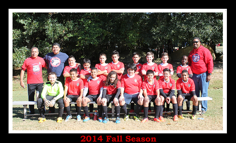 Sharks Soccer Team