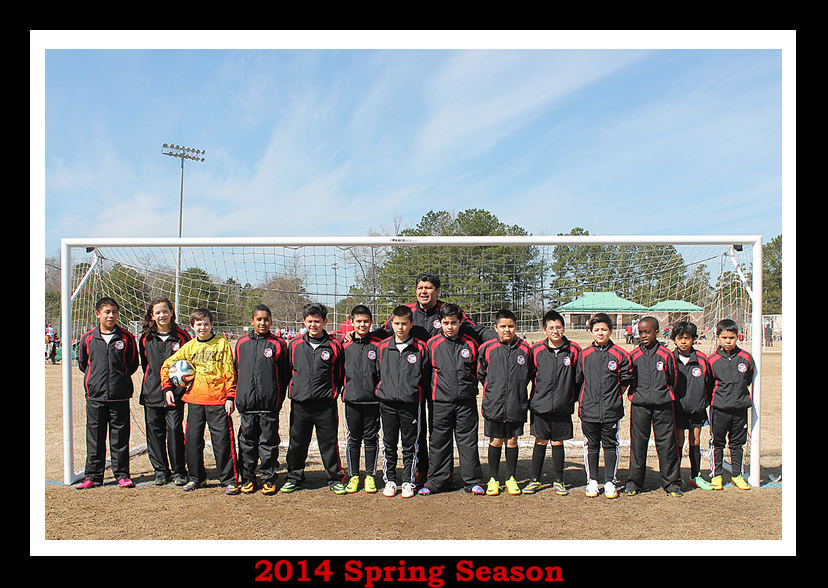 Sharks Soccer Team